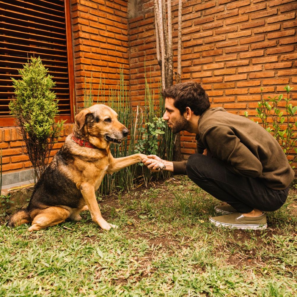Gentle Journey Home home euthanasia Aftercare options Bereavement Counseling Pet euthanasia process