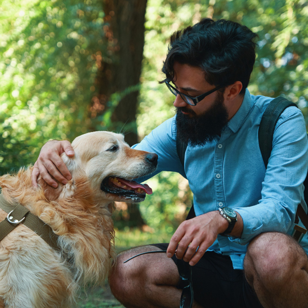Gentle Journey Home home euthanasia Aftercare options Bereavement Counseling Pet euthanasia process